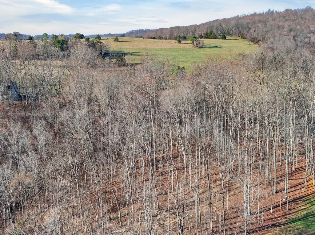 Lot 114 Faix Road Byrdstown TN 38549