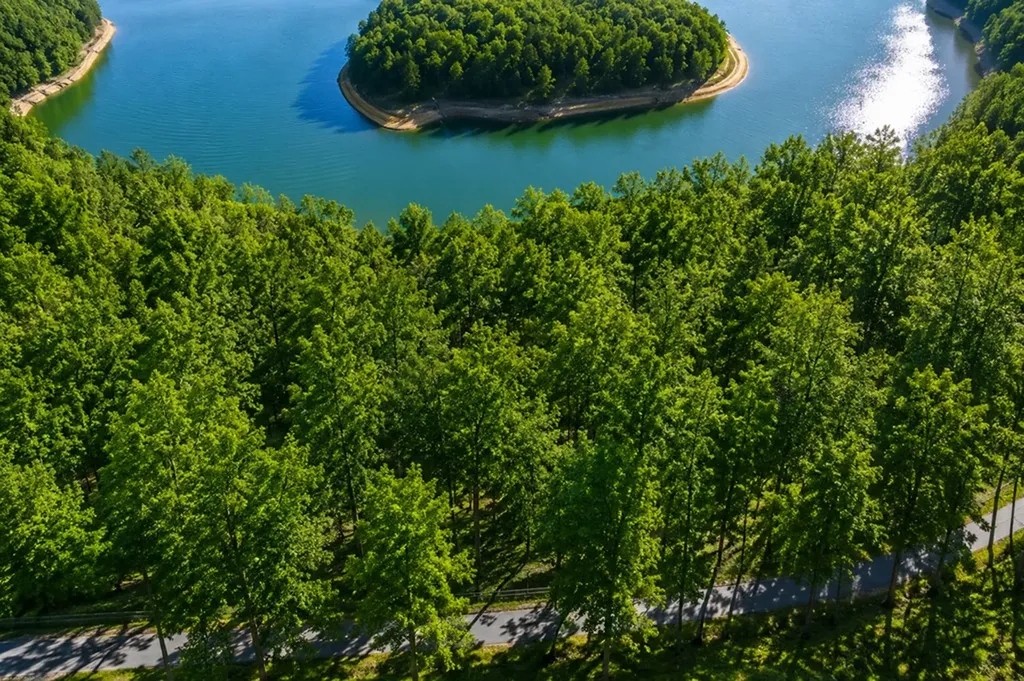 Lot 114 Faix Road Byrdstown TN 38549