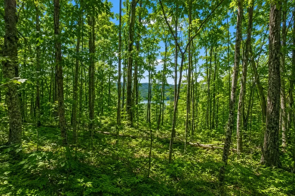 Lot 114 Faix Road Byrdstown TN 38549