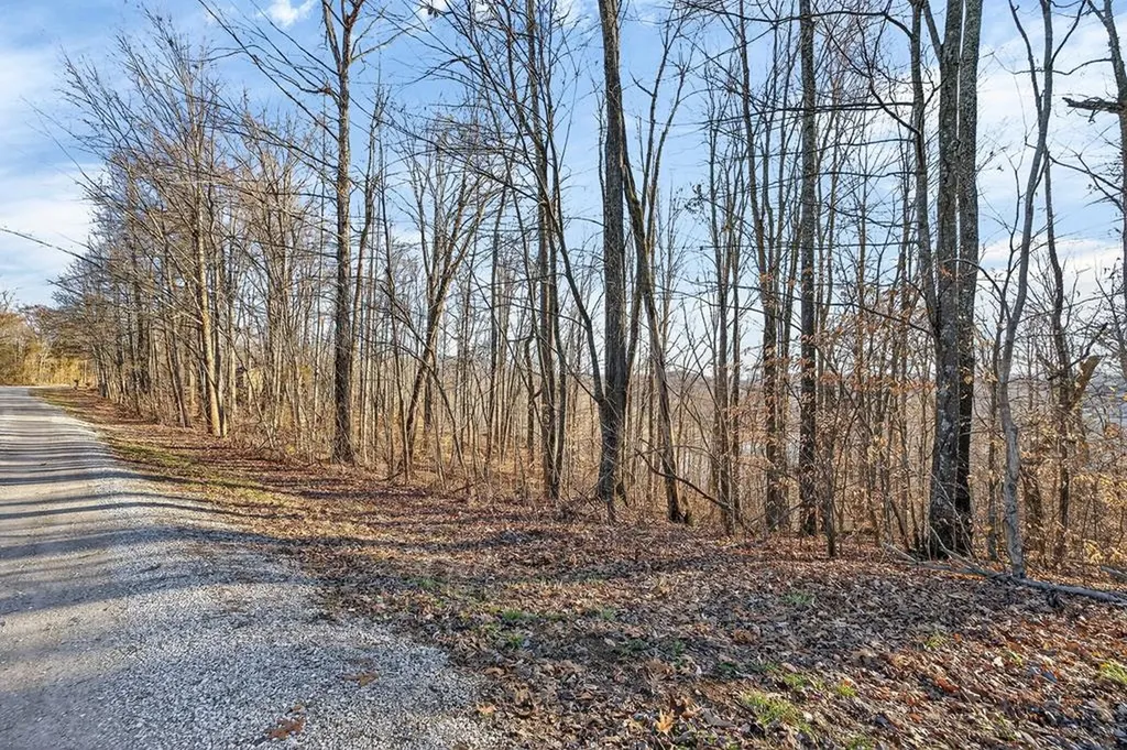 Lot 114 Faix Road Byrdstown TN 38549