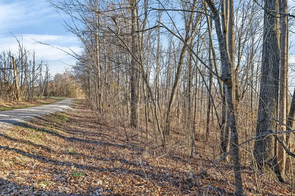 Lot 114 Faix Road Byrdstown TN 38549