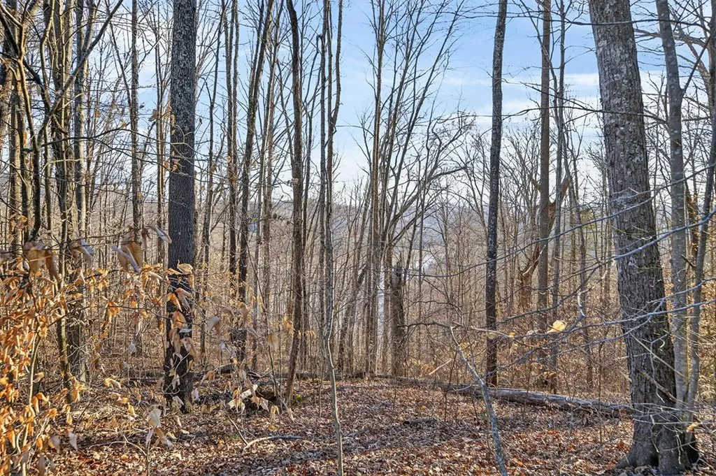 Lot 114 Faix Road Byrdstown TN 38549