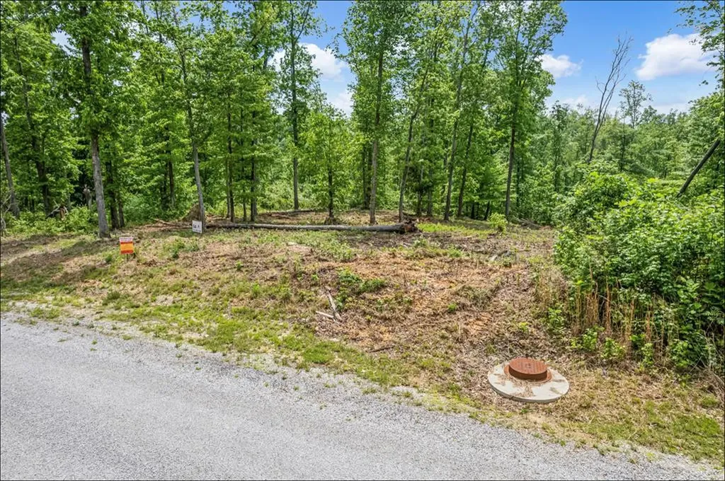 0 Water Ridge Road Lot 64 Sparta TN 38583