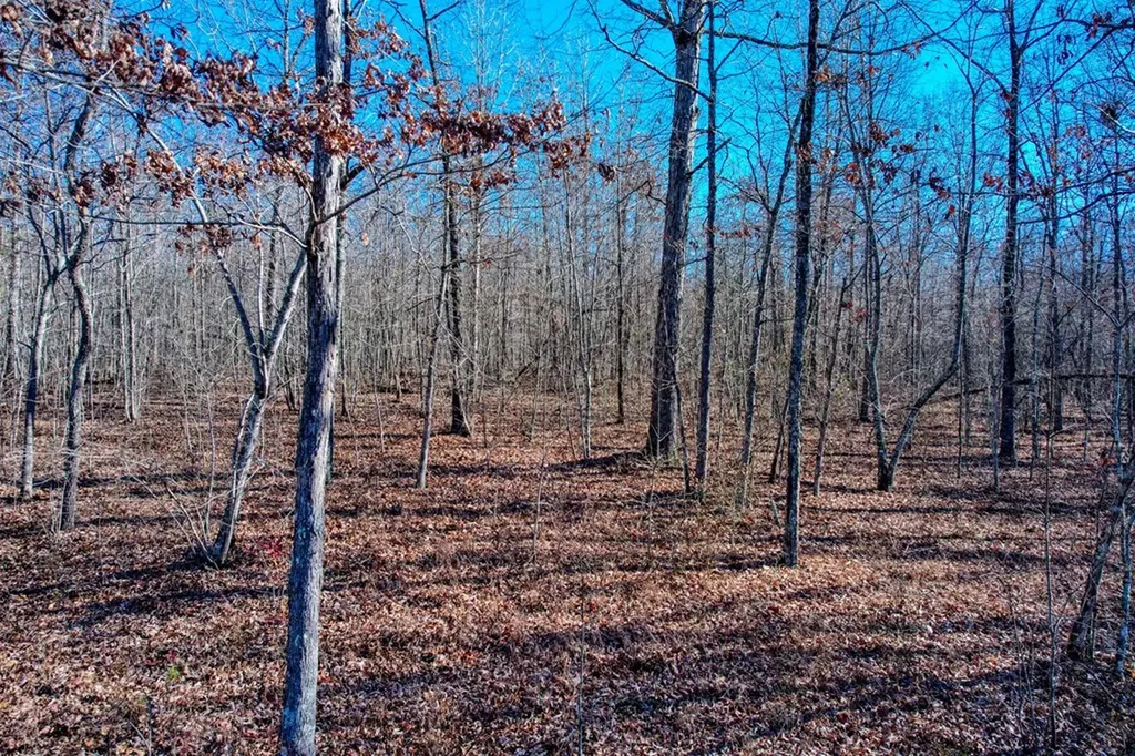 Lot 141 Camp Creek Circle Spencer TN 38585