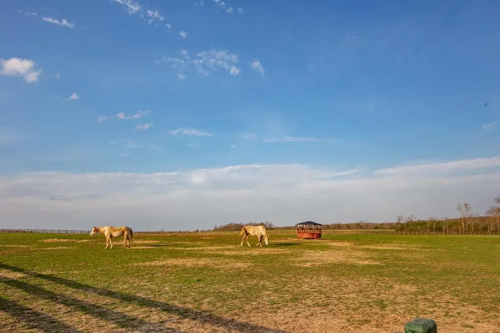Lot 141 Camp Creek Circle Spencer TN 38585