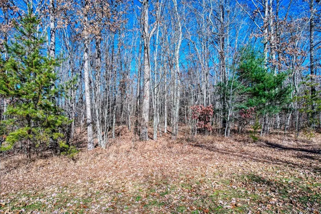 Lot 141 Camp Creek Circle Spencer TN 38585