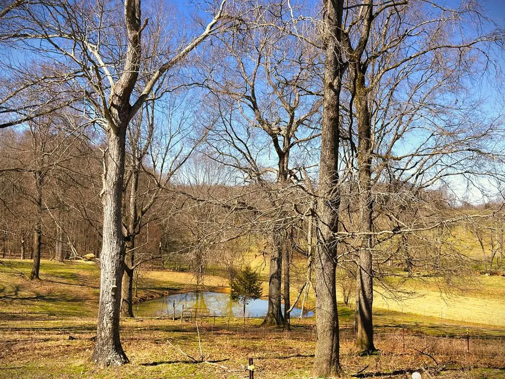 1152 Dogwalk Road Monroe TN 38573