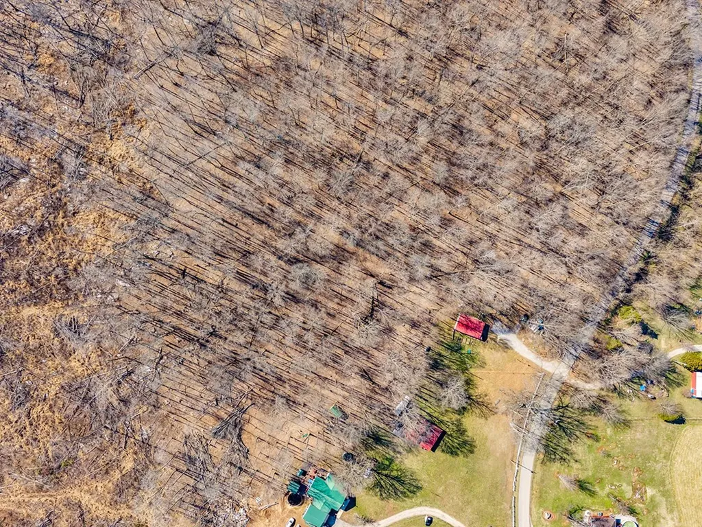 1742 Walter Stone Road Sparta TN 38583