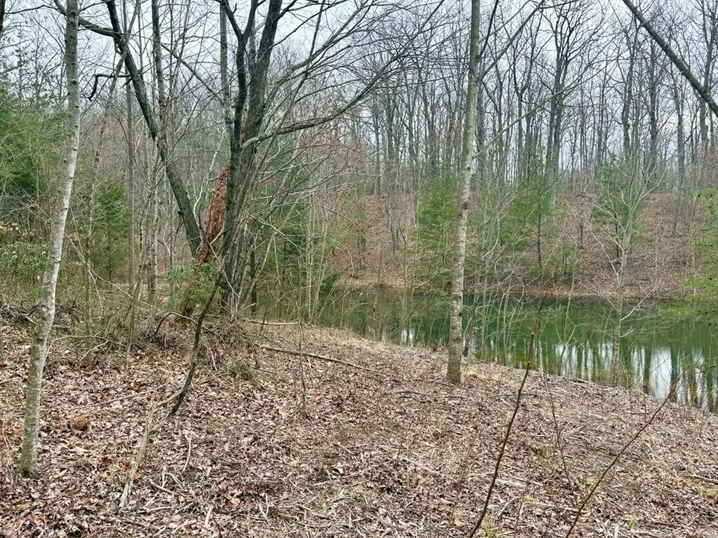 1004 Overlook Drive Spencer TN 38585