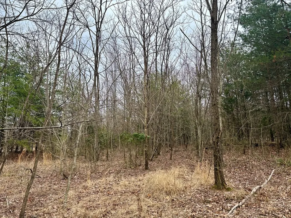 1004 Overlook Drive Spencer TN 38585