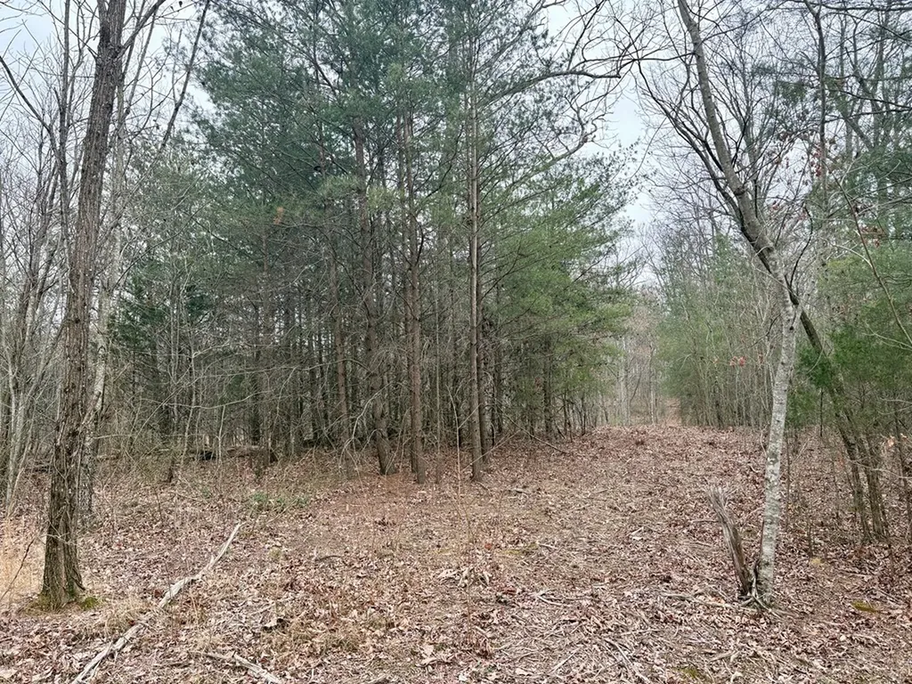 1004 Overlook Drive Spencer TN 38585
