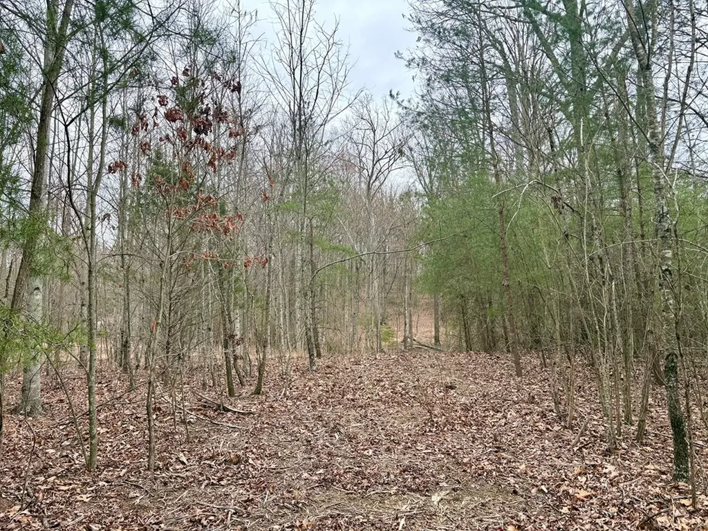 1004 Overlook Drive Spencer TN 38585