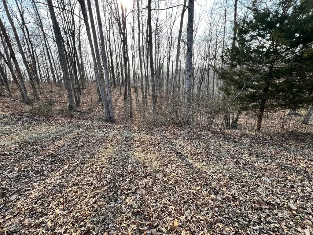 00 Green Drive Monterey TN 38574