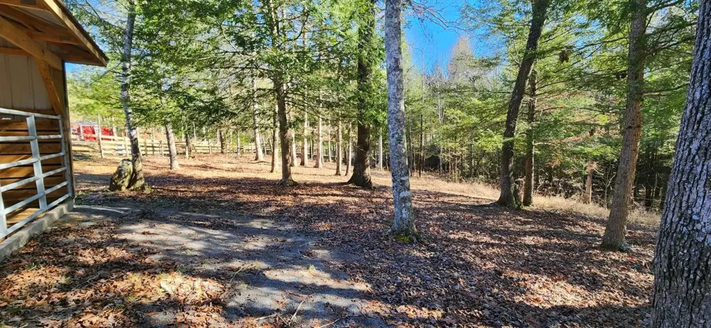 248 Crouch Branch Lane Allardt TN 38504