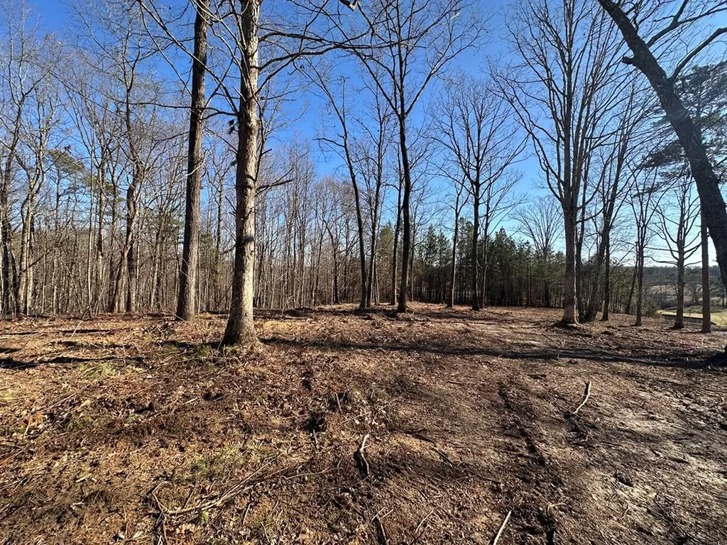 14.53 Ac Pickett Park Highway Jamestown TN 38556