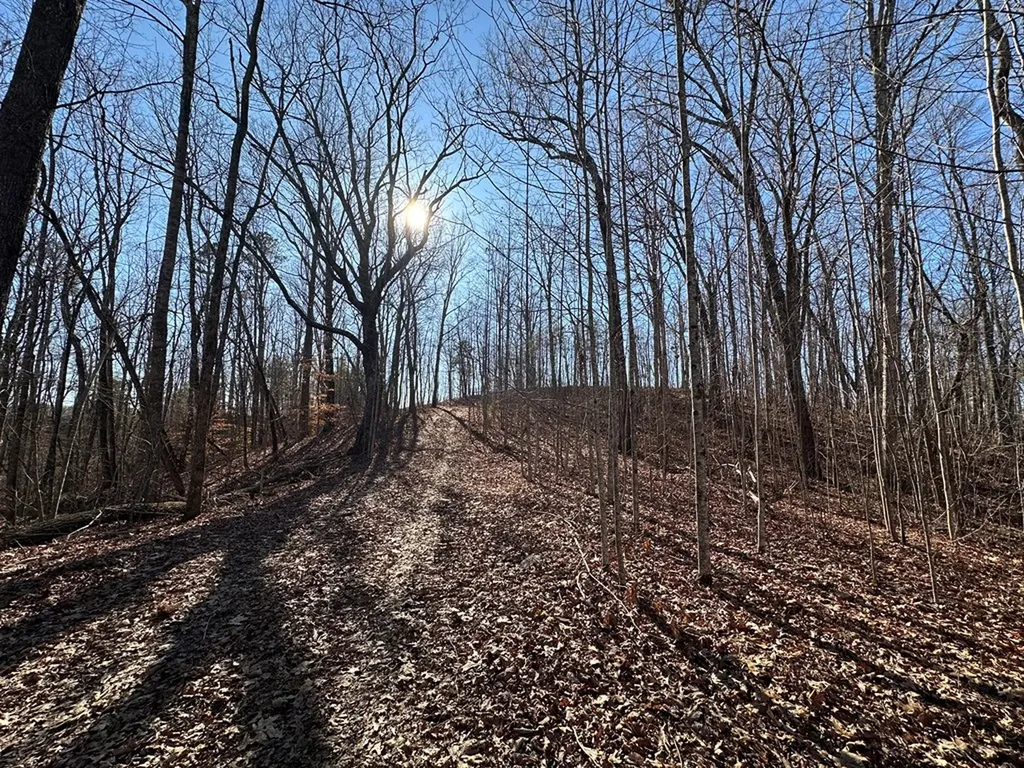 14.53 Ac Pickett Park Highway Jamestown TN 38556