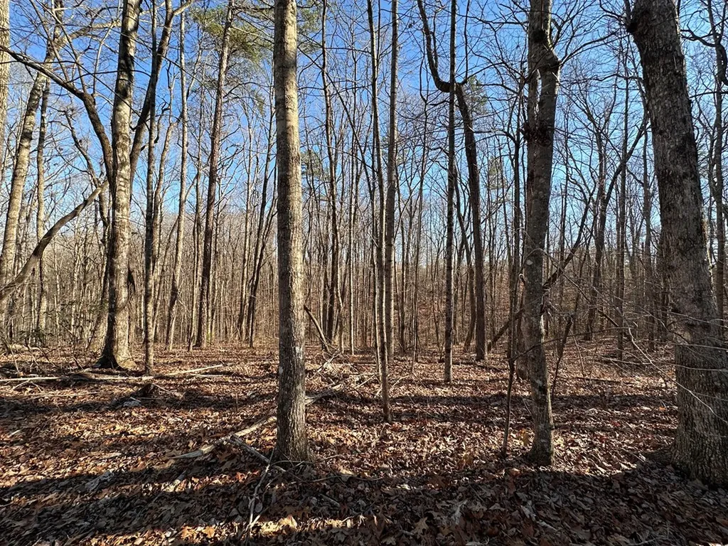 14.53 Ac Pickett Park Highway Jamestown TN 38556