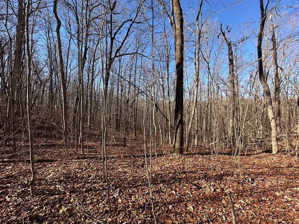14.53 Ac Pickett Park Highway Jamestown TN 38556