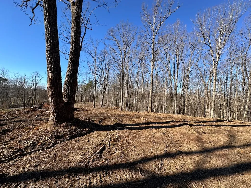 14.53 Ac Pickett Park Highway Jamestown TN 38556