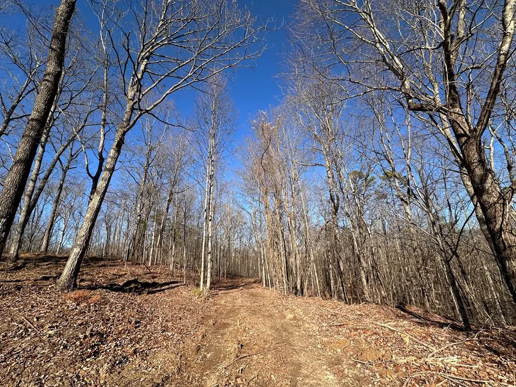 14.53 Ac Pickett Park Highway Jamestown TN 38556