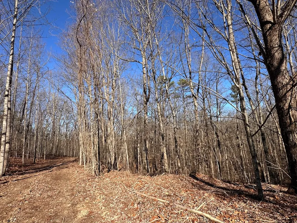 14.53 Ac Pickett Park Highway Jamestown TN 38556