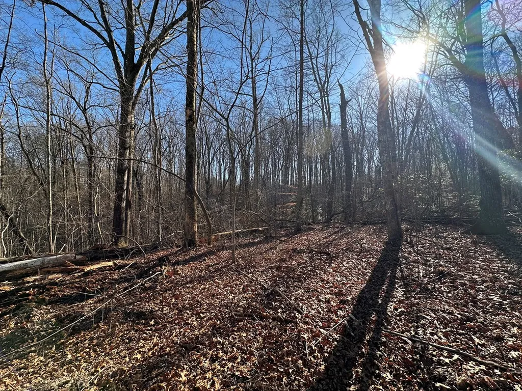 14.53 Ac Pickett Park Highway Jamestown TN 38556