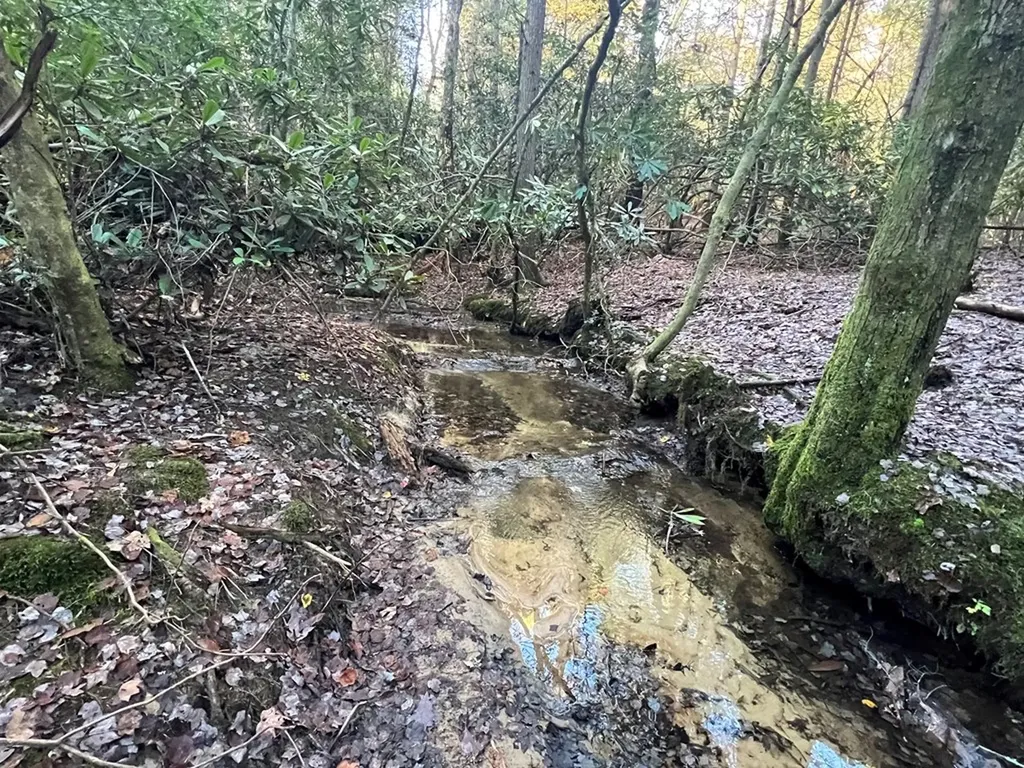 14.53 Ac Pickett Park Highway Jamestown TN 38556