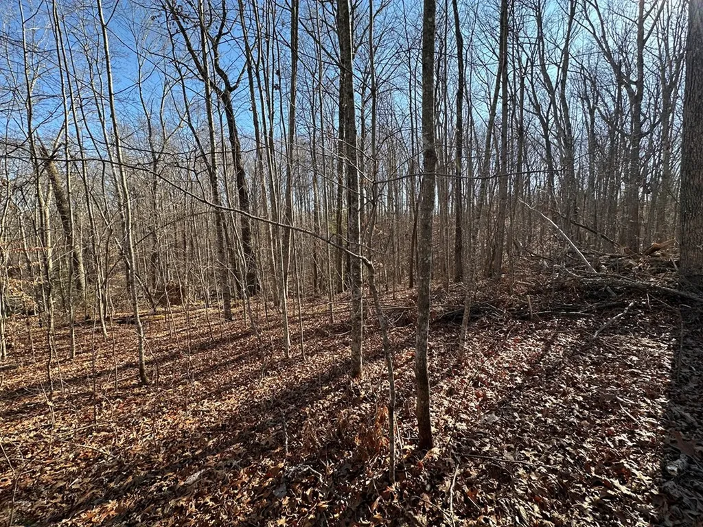 14.53 Ac Pickett Park Highway Jamestown TN 38556