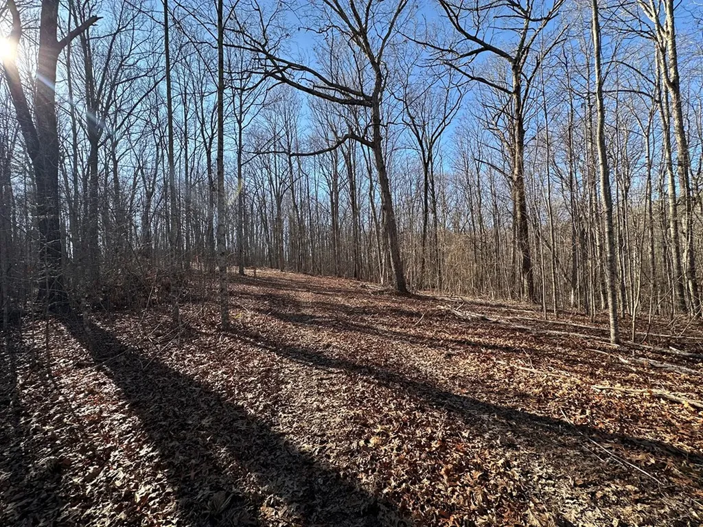 14.53 Ac Pickett Park Highway Jamestown TN 38556