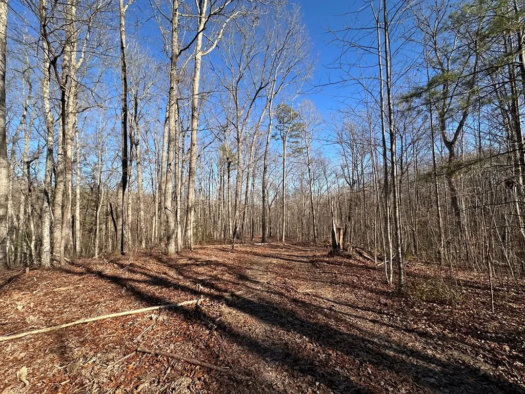 14.53 Ac Pickett Park Highway Jamestown TN 38556