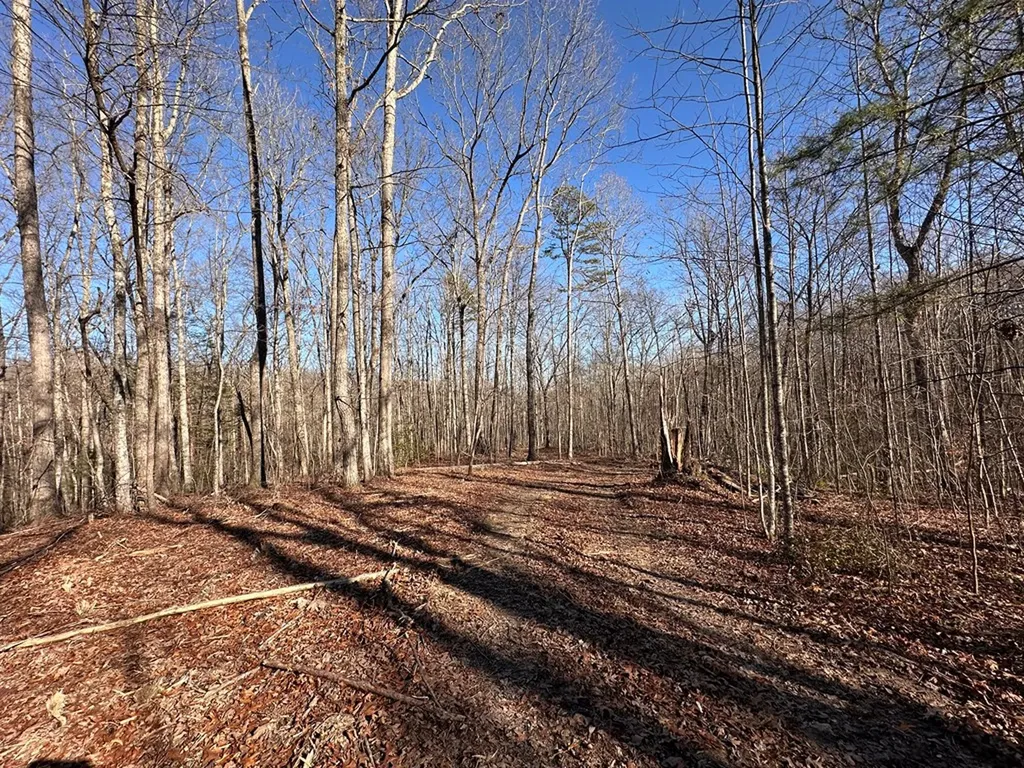 14.53 Ac Pickett Park Highway Jamestown TN 38556