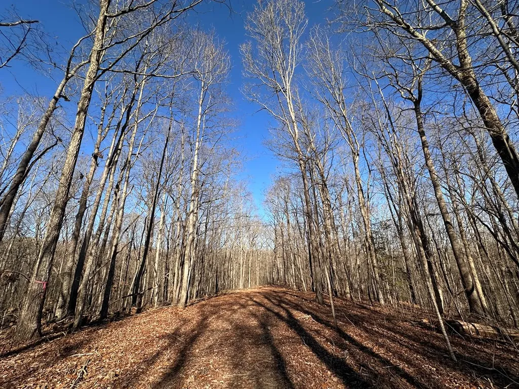 14.53 Ac Pickett Park Highway Jamestown TN 38556