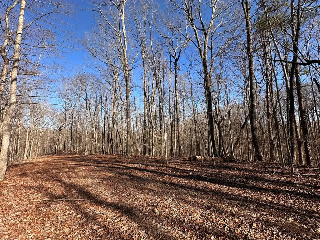 14.53 Ac Pickett Park Highway Jamestown TN 38556