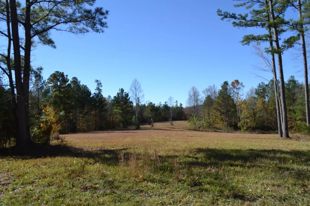 28.30AC Whitson Hollow Road Red Boiling Springs TN 37150