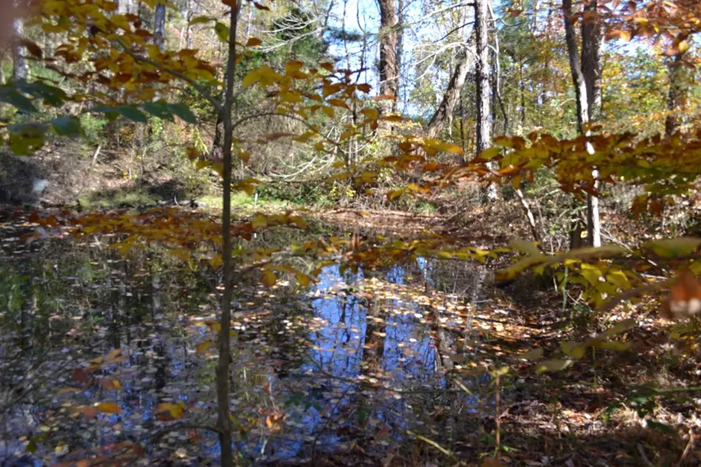 28.30AC Whitson Hollow Road Red Boiling Springs TN 37150