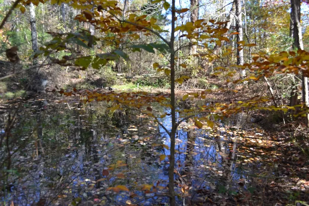 28.30AC Whitson Hollow Road Red Boiling Springs TN 37150