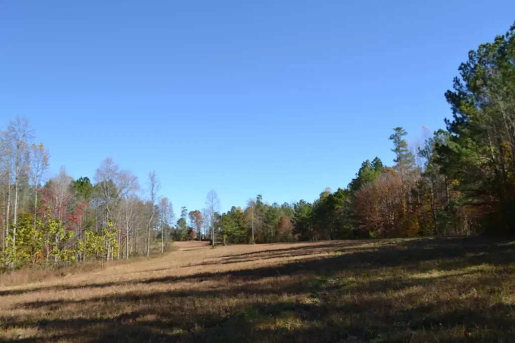 28.30AC Whitson Hollow Road Red Boiling Springs TN 37150