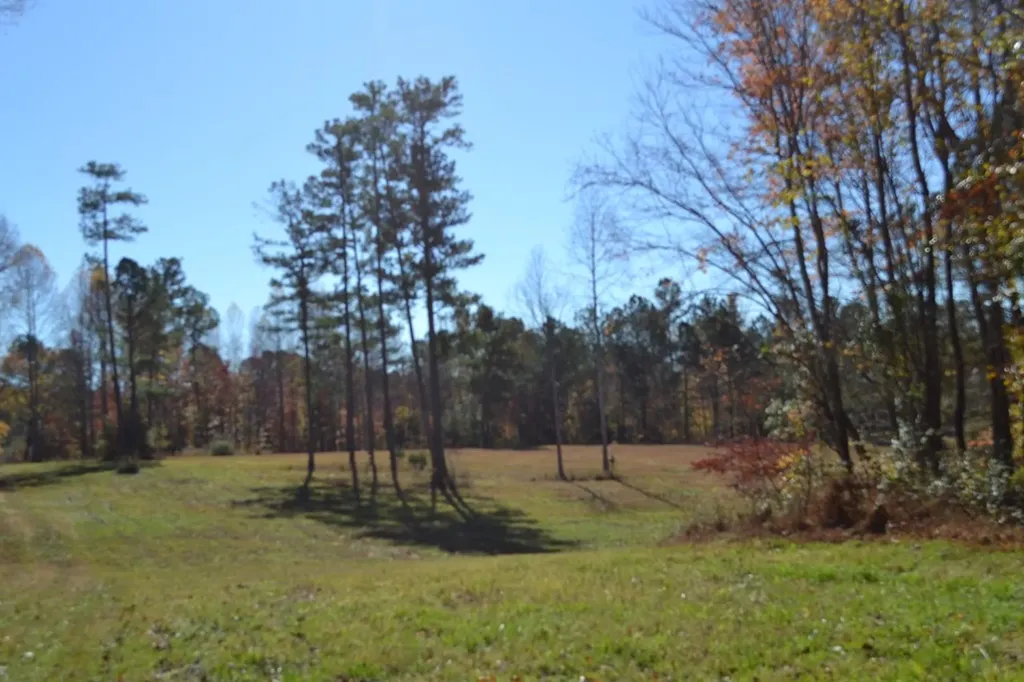 28.30AC Whitson Hollow Road Red Boiling Springs TN 37150