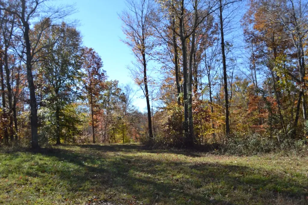 28.30AC Whitson Hollow Road Red Boiling Springs TN 37150