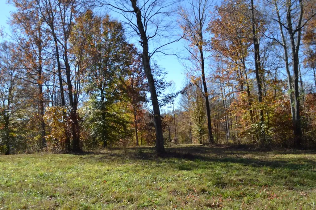 28.30AC Whitson Hollow Road Red Boiling Springs TN 37150