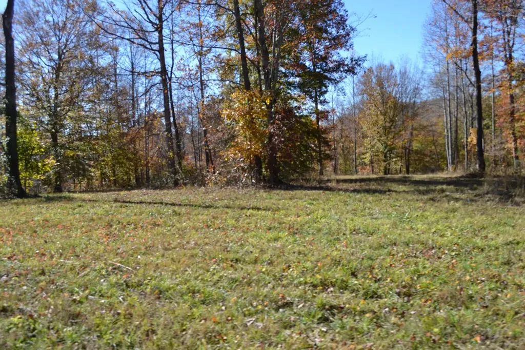 28.30AC Whitson Hollow Road Red Boiling Springs TN 37150