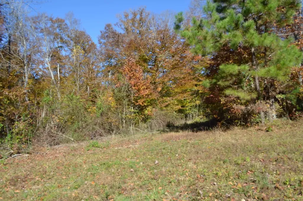 28.30AC Whitson Hollow Road Red Boiling Springs TN 37150