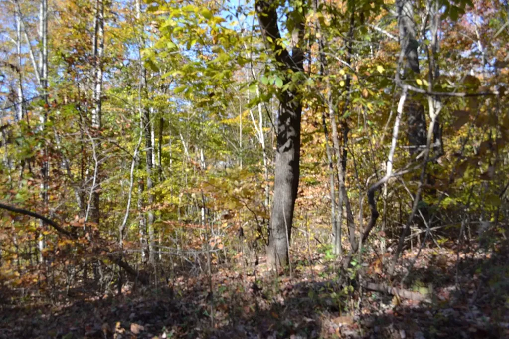 28.30AC Whitson Hollow Road Red Boiling Springs TN 37150
