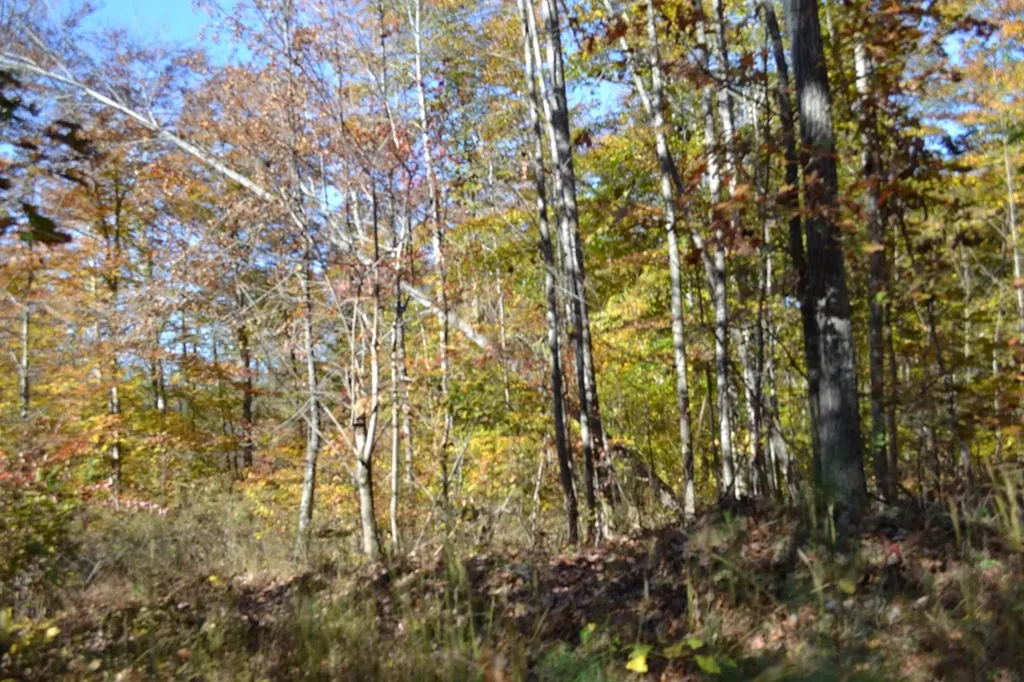 28.30AC Whitson Hollow Road Red Boiling Springs TN 37150