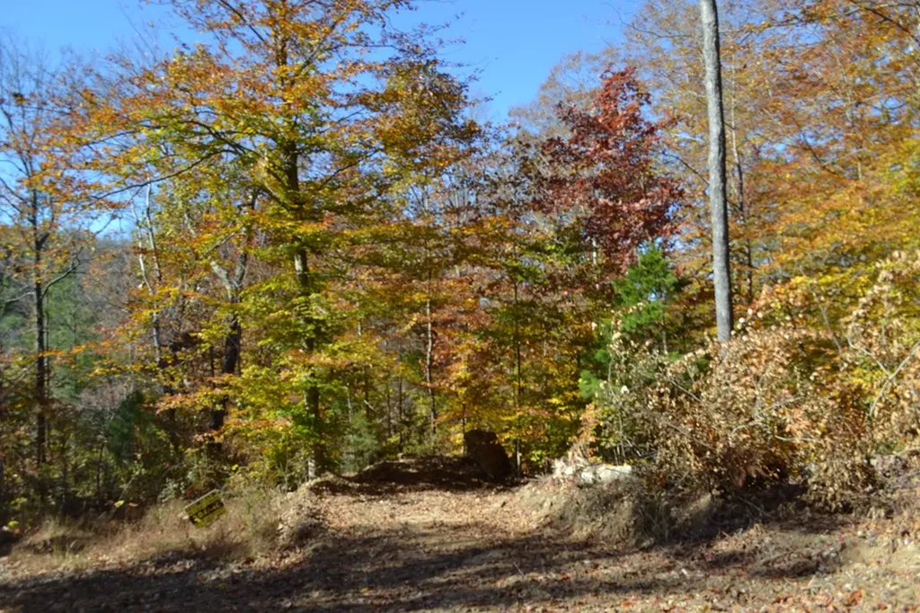 28.30AC Whitson Hollow Road Red Boiling Springs TN 37150