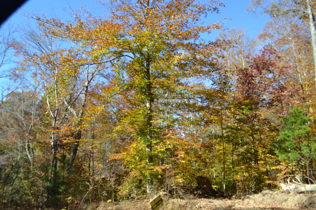 28.30AC Whitson Hollow Road Red Boiling Springs TN 37150