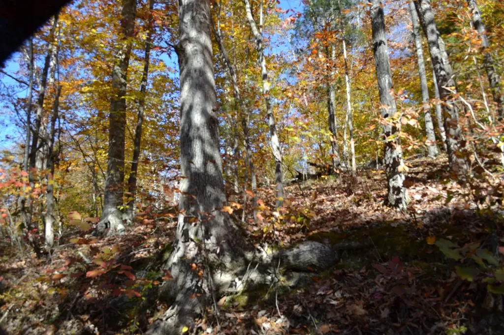 28.30AC Whitson Hollow Road Red Boiling Springs TN 37150
