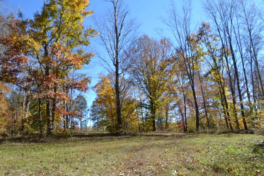 28.30AC Whitson Hollow Road Red Boiling Springs TN 37150