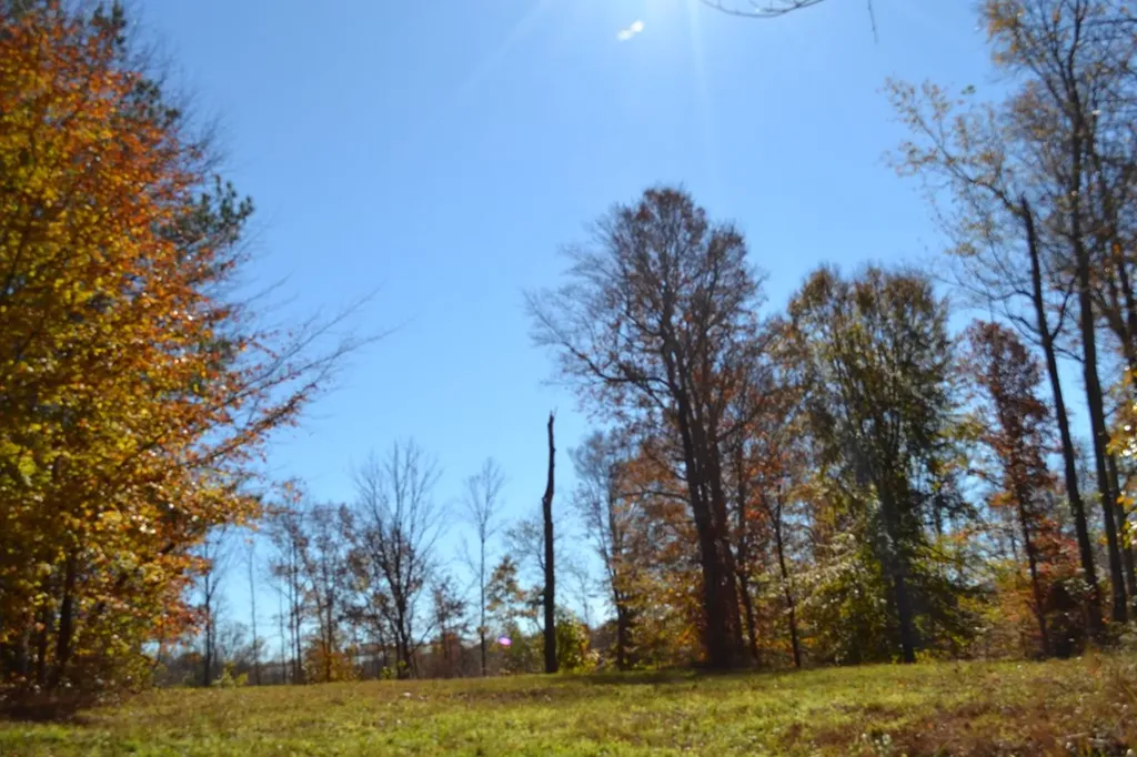 28.30AC Whitson Hollow Road Red Boiling Springs TN 37150
