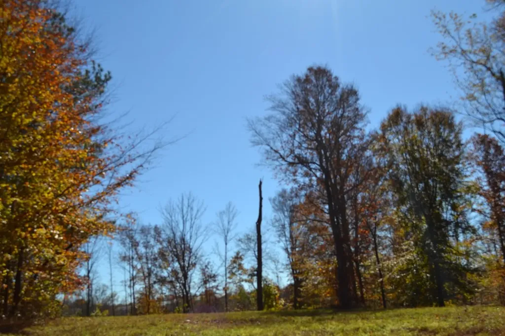 28.30AC Whitson Hollow Road Red Boiling Springs TN 37150